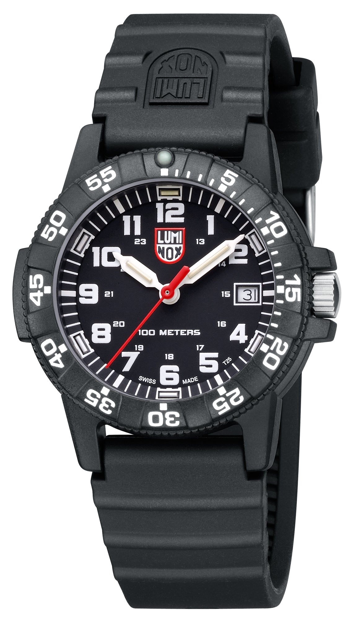 Leatherback Sea Turtle 0301.L