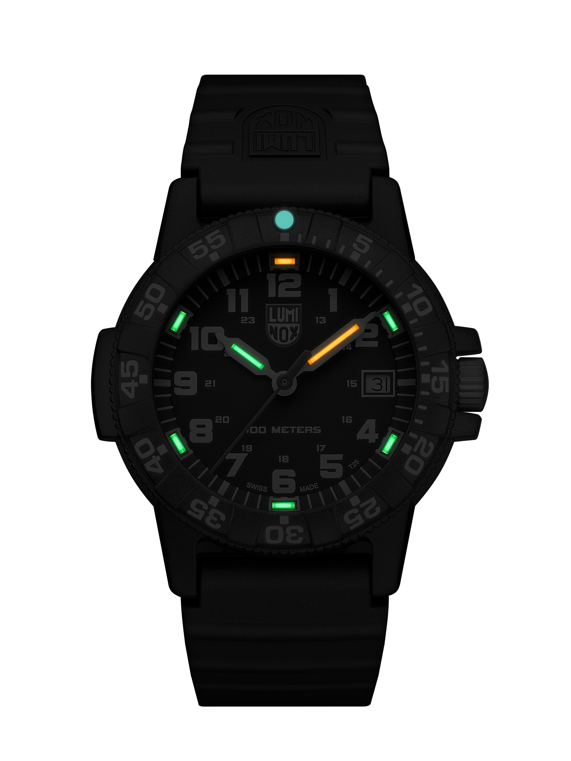 Leatherback Sea Turtle 0301.L