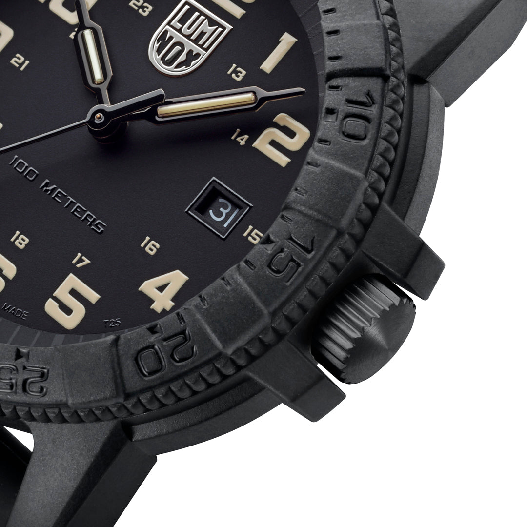 Leatherback Sea Turtle 0330