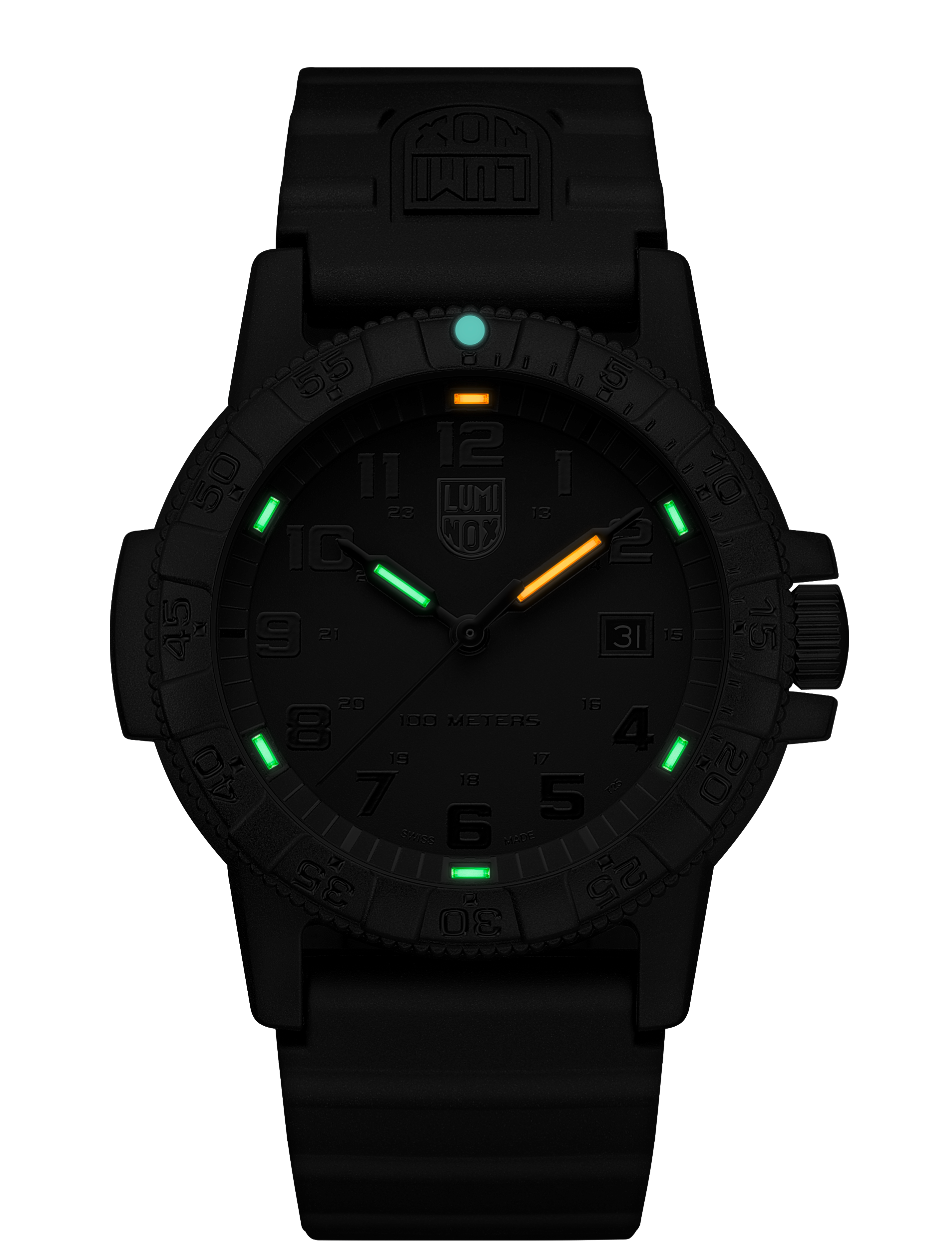 Leatherback Sea Turtle Giant 0321.BO.L