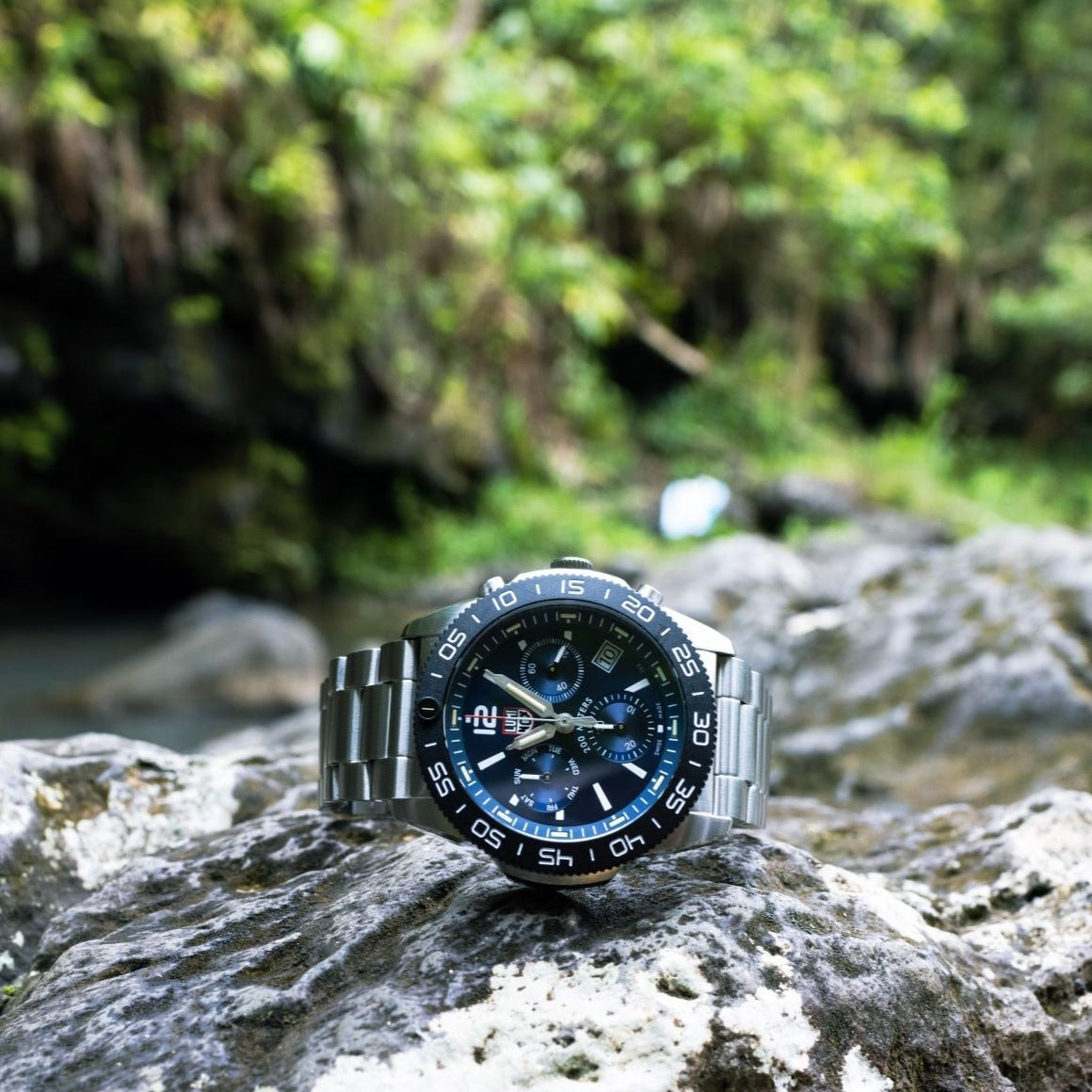 Pacific Diver 3144