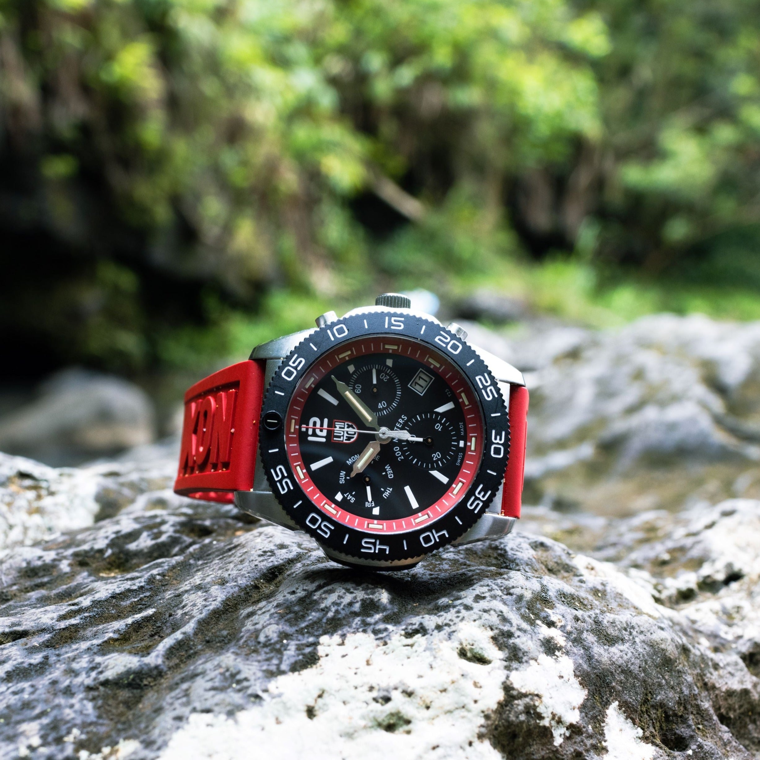 Pacific Diver 3155.SET