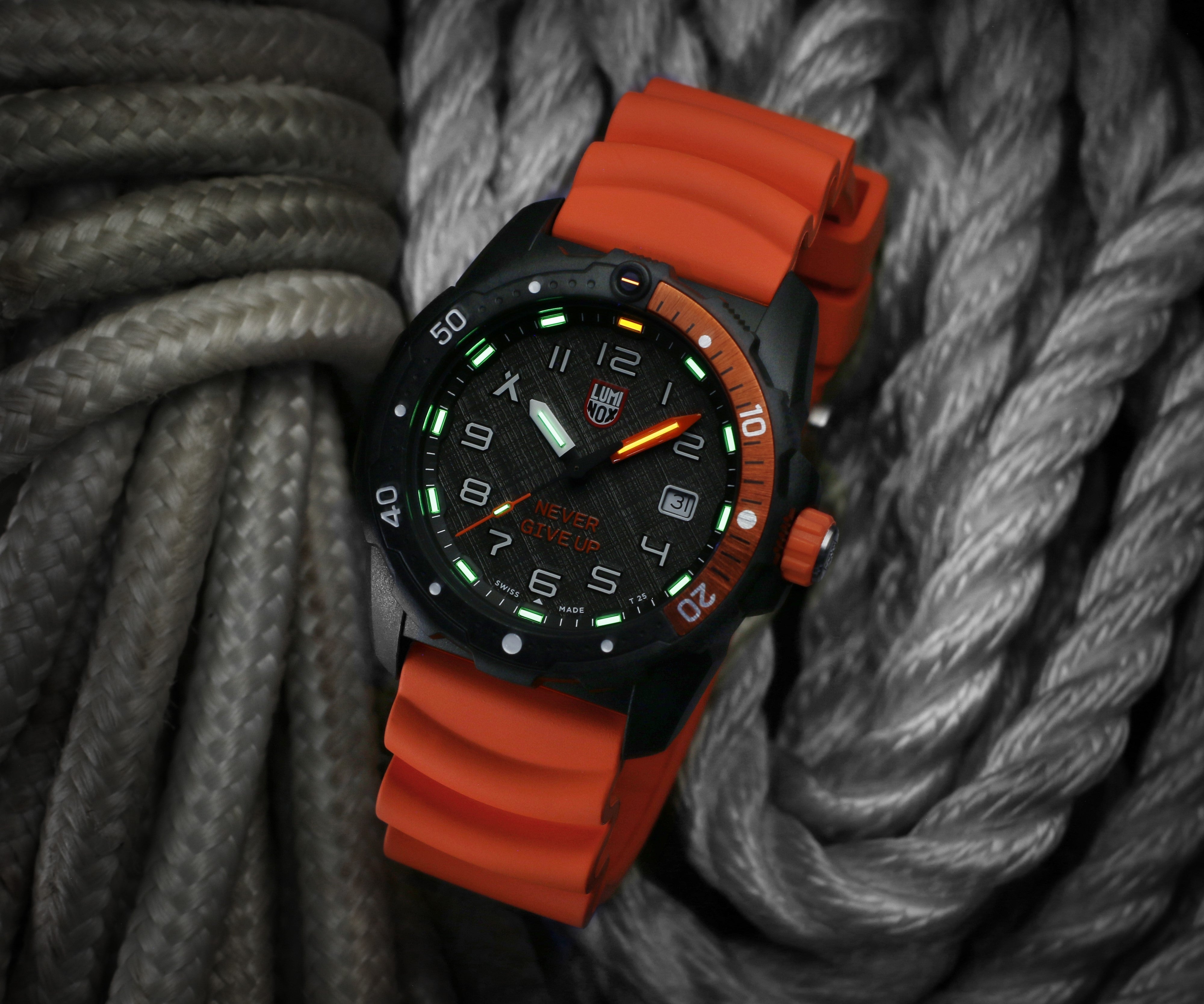 Bear Grylls 3729 Never Give Up